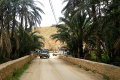 20090430_Tunisie-085a_1-min