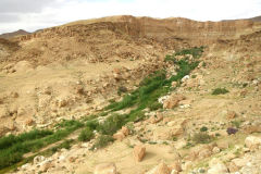 20090430_Tunisie-094a_1-min