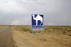 20090430_Tunisie-095a_1-min