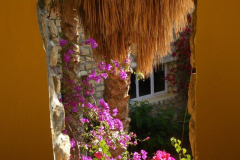 20090430_Tunisie-130a_1-min