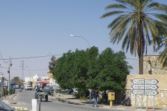 20090430_Tunisie-161a_1