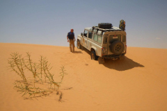 20090430_Tunisie-185a_1