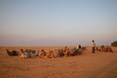 20090430_Tunisie-219a_1-min