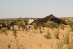 20090430_Tunisie-257a_1-min