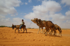 20090430_Tunisie-297_1-min